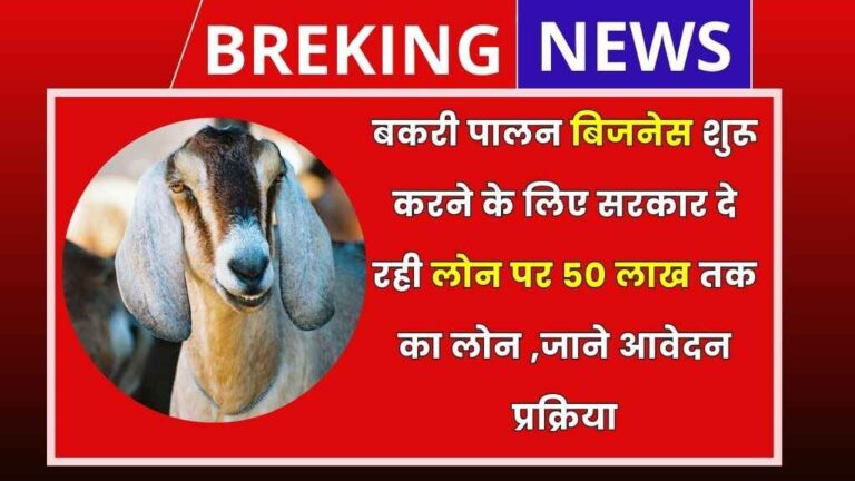 Rajasthan Bakri Palan Yojana 2024