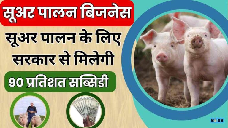 How to Start Pig farming Business in India in Hindi